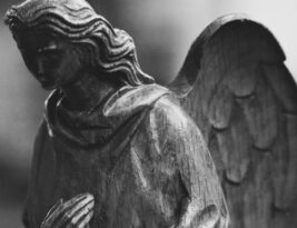 The Role of a Business Angel in Today’s Economy