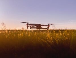 The Growing Interest in Agritech Startups
